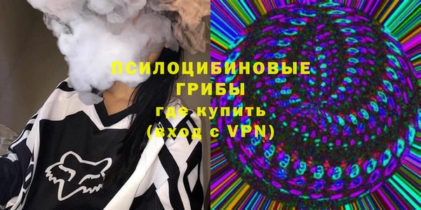 эйфоретик Алзамай